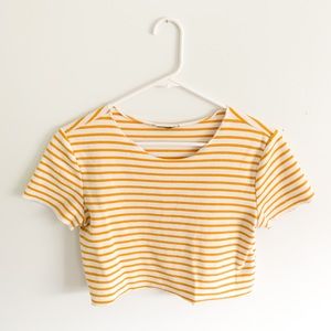 ZARA Crop Top Tee in Golden Yellow & White